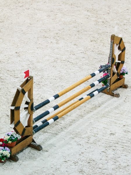 Lezioni di Equitazione per Bambini e Adulti a Giovenzano